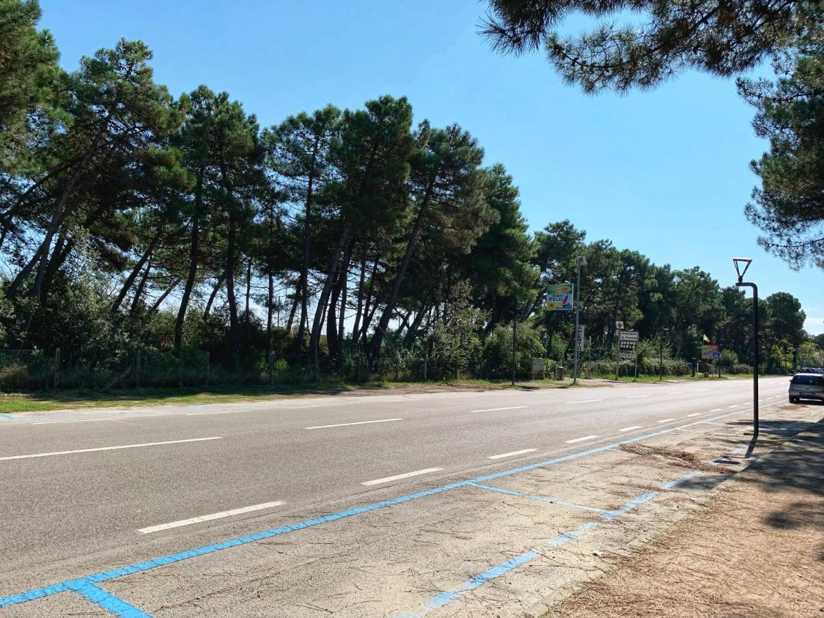 Medusablu121 Punta Marina Exteriér fotografie
